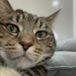 Meet your Posher, Tomoko